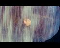 PDVD_1770