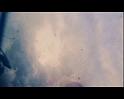 PDVD_1773