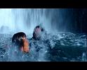 PDVD_1784