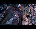 PDVD_1843