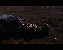 PDVD_2192
