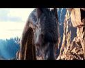 PDVD_2235