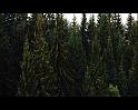 PDVD_2241
