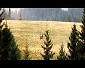 PDVD_2242