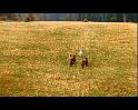 PDVD_2243