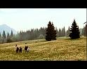 PDVD_2245