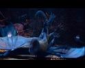 PDVD_311