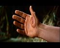 PDVD_322