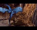 PDVD_326