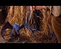 PDVD_328