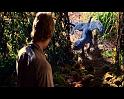 PDVD_361