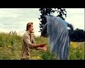 PDVD_412