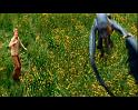 PDVD_415