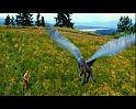 PDVD_416