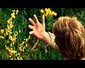 PDVD_430