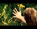 PDVD_431