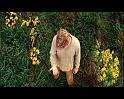 PDVD_447