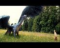 PDVD_455