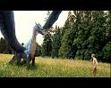 PDVD_456