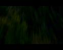 PDVD_568