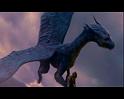 PDVD_570