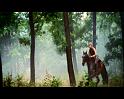 PDVD_705