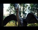 PDVD_784