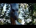 PDVD_787