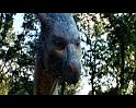 PDVD_833