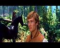 PDVD_875