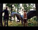 PDVD_876