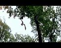 PDVD_877