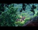 PDVD_896