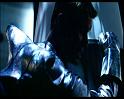 PDVD_1238