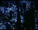 PDVD_1239