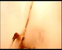 PDVD_1549