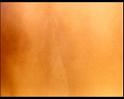 PDVD_1558