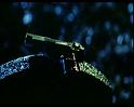 PDVD_1588