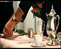 PDVD_160