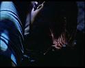 PDVD_1829