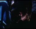 PDVD_1834