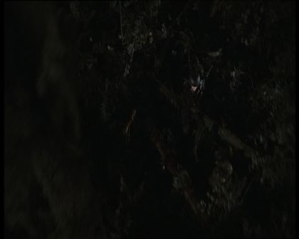 PDVD_012.jpg
