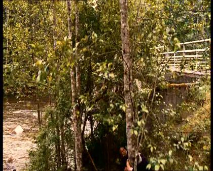 PDVD_1052.jpg