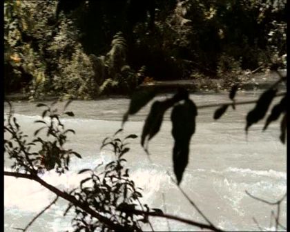 PDVD_1314.jpg