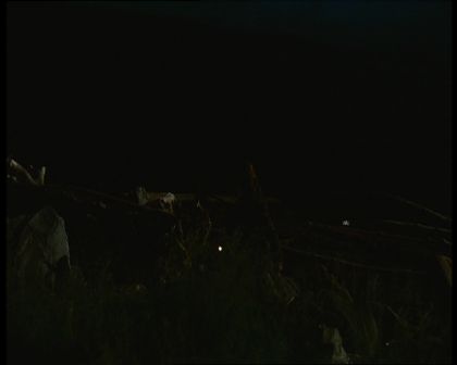 PDVD_562.jpg