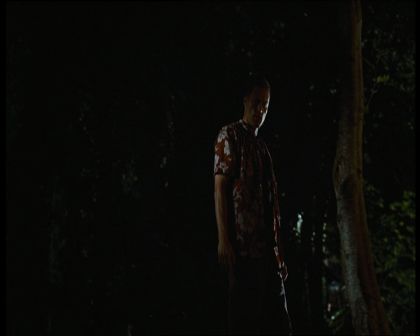 PDVD_650.jpg
