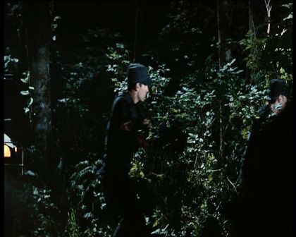 PDVD_676.jpg