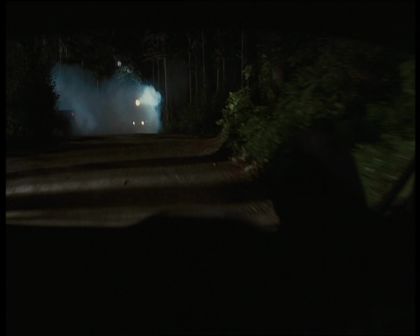 PDVD_797.jpg