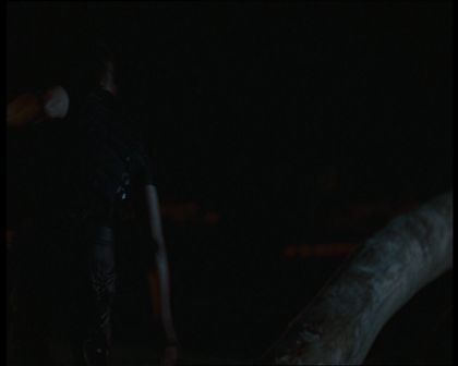 PDVD_875.jpg
