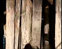 PDVD_1265